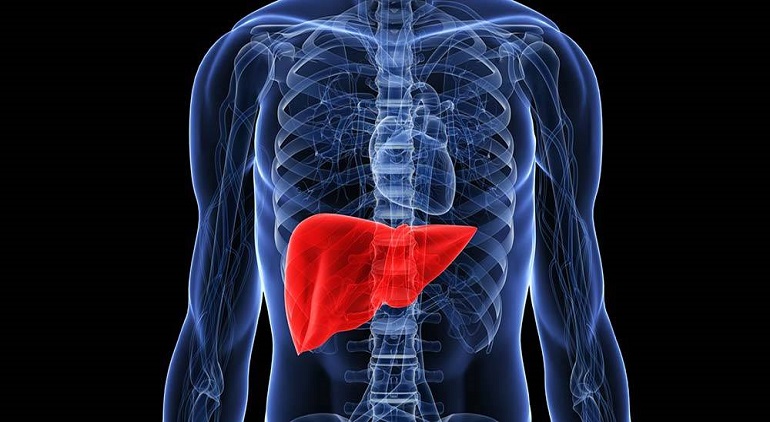 Karaciğer kanseri. Semptomlar, klinik, tedavi Karaciğer kanseri. Semptomlar, klinik, tedavi