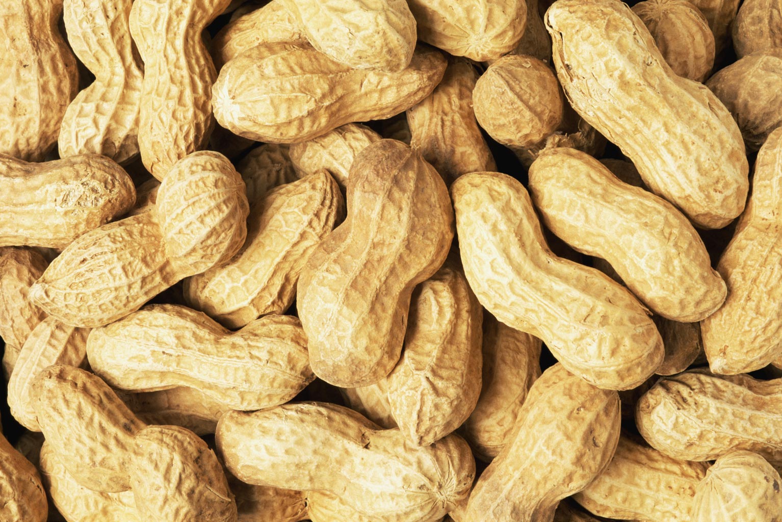 Yer Fıstığı Protein Oranı Yer Fıstığındaki Vitaminler Nelerdir Yer Fıstığı Protein Oranı Yer Fıstığındaki Vitaminler Nelerdir